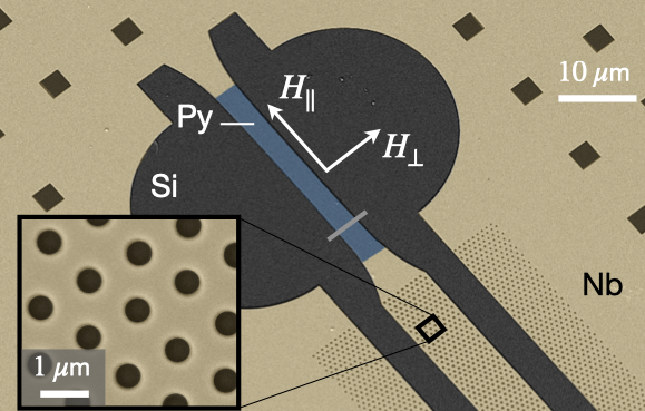 Circuit QED detection of induced two-fold anisotropic pairing in a hybrid superconductor-ferromagnet bilayer